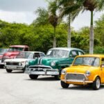 A lineup of vintage cars parked outdoors surrounded by palm trees on a sunny day.