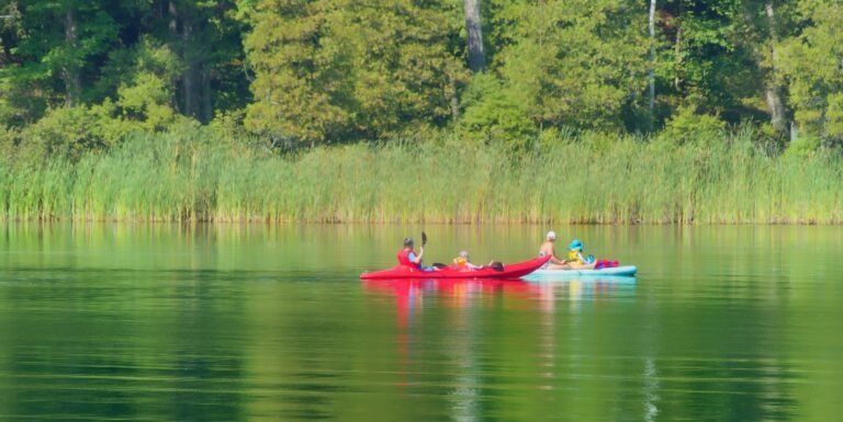 Kayaking in a lake in the summer
